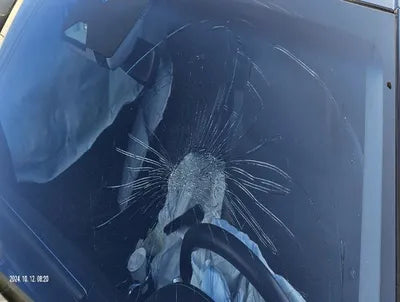 2020 Genesis G80 VIN: