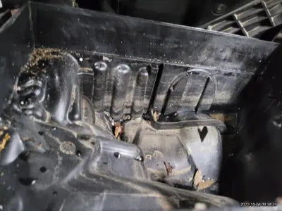 2020 MINI Clubman WMW71BB01L2N26003 VIN:WMW71BB01L2N26003
