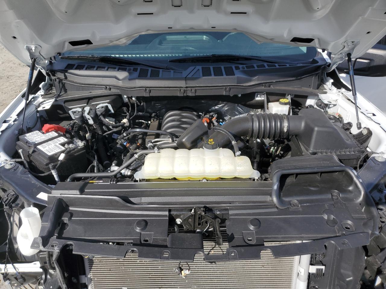 2023 FORD F150  VIN:1FTMF1C55PKG16286
