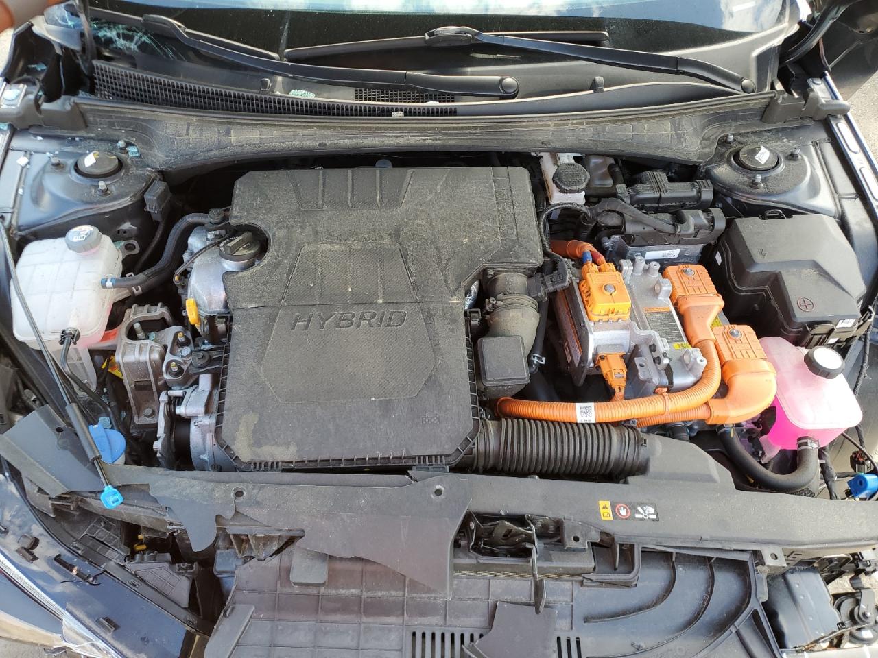 2023 HYUNDAI ELANTRA LIMITED VIN:KMHLN4AJ2PU038504