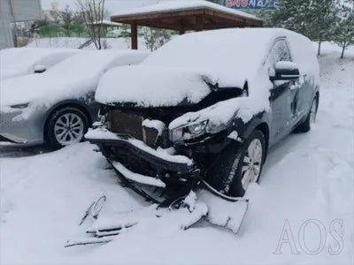 2017 Kia Carnival KNAMC81ABHS318086 VIN:KNAMC81ABHS318086