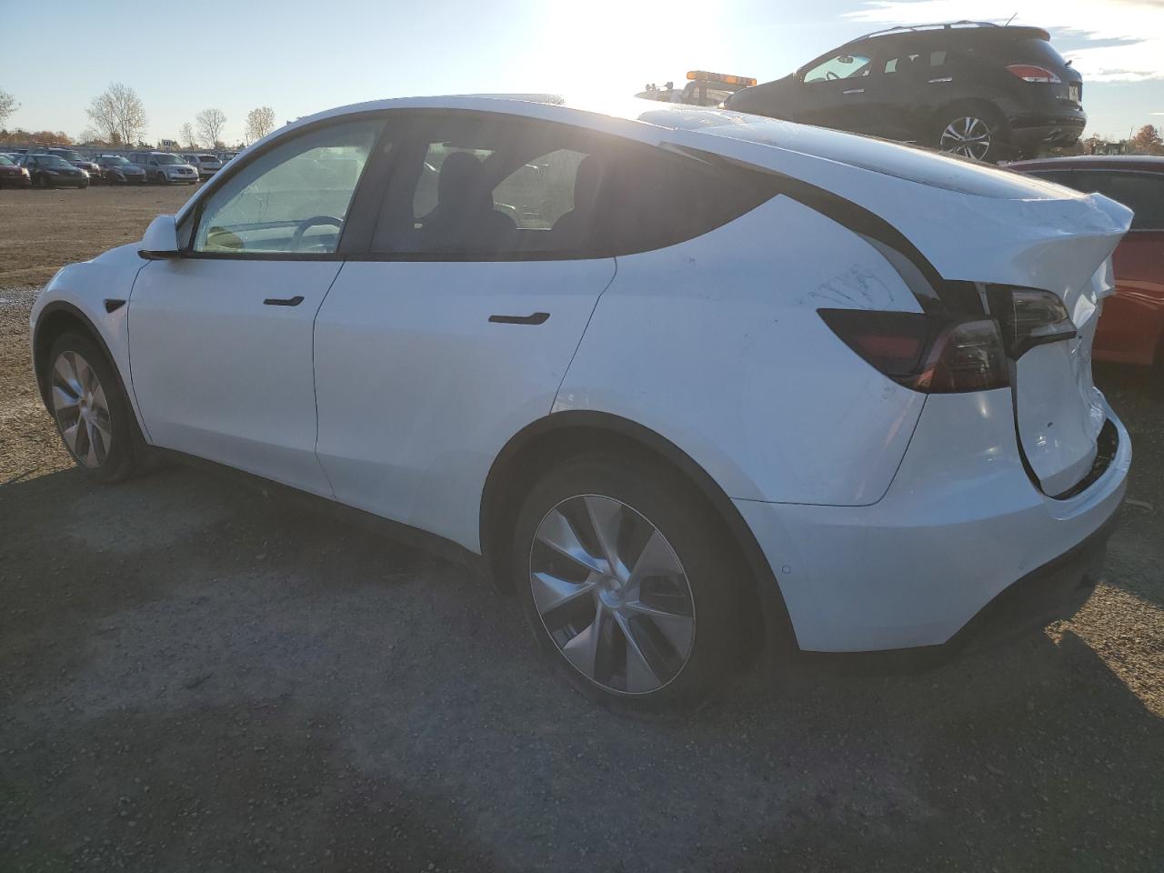 2022 TESLA MODEL Y  VIN:7SAYGDEE9NF430275