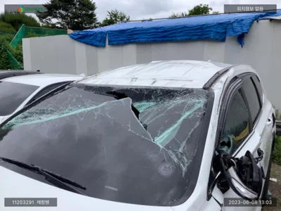 2018 Hyundai Santa FE KMHS281BBKU006904 VIN:KMHS281BBKU006904