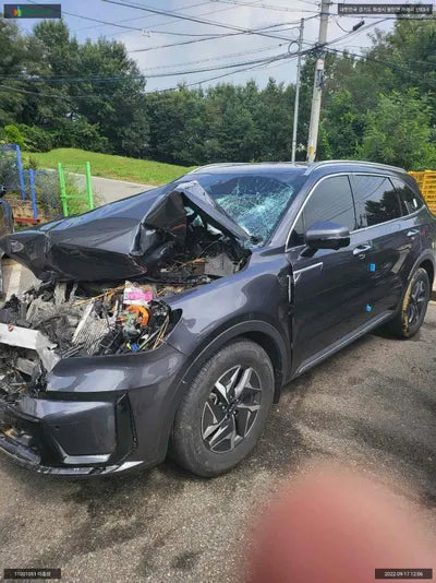 2020 Kia Sorento KNARG81GBMA017175 VIN:KNARG81GBMA017175
