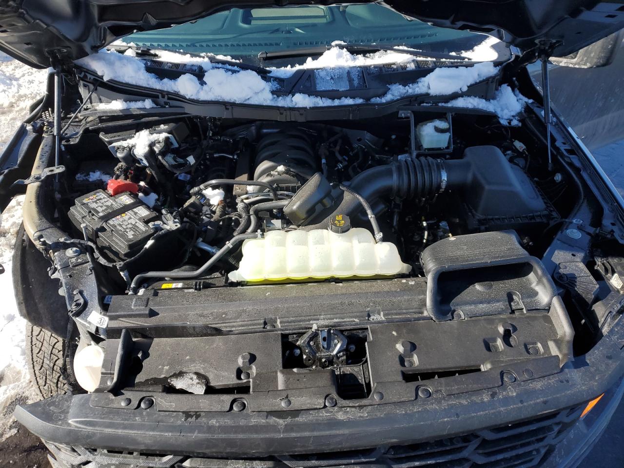 2024 FORD F150 XL VIN:1FTMF1L55RKE12168