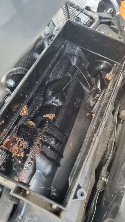 2019 Mercedes-Benz S 560 WDDUG8GB2KA425399 VIN:WDDUG8GB2KA425399