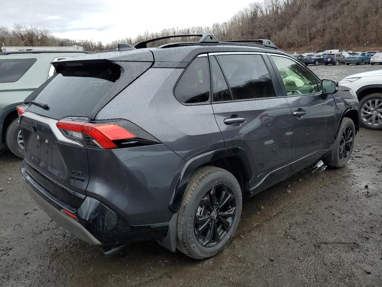 2024 TOYOTA RAV4 XSE VIN:JTME6RFV7RJ059209