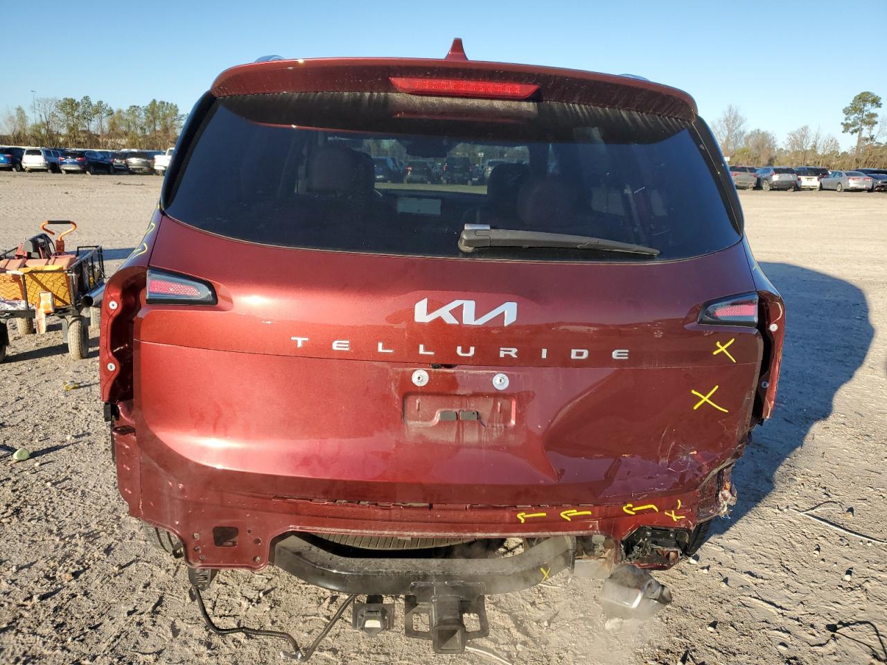 2024 KIA TELLURIDE EX VIN:5XYP34GC5RG482310