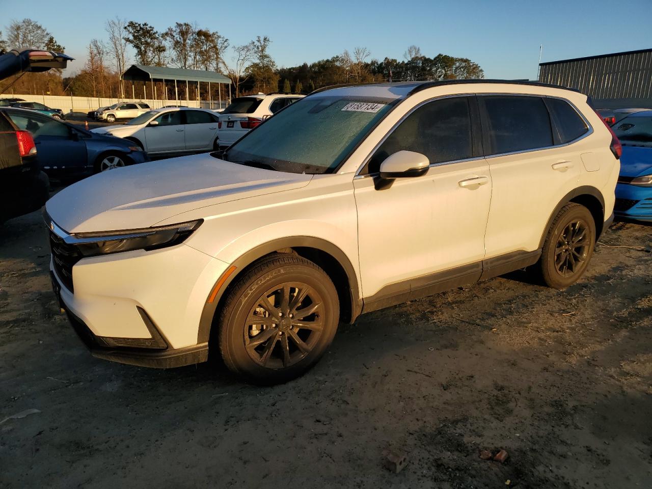 2024 HONDA CR-V EXL VIN:5J6RS4H76RL006854
