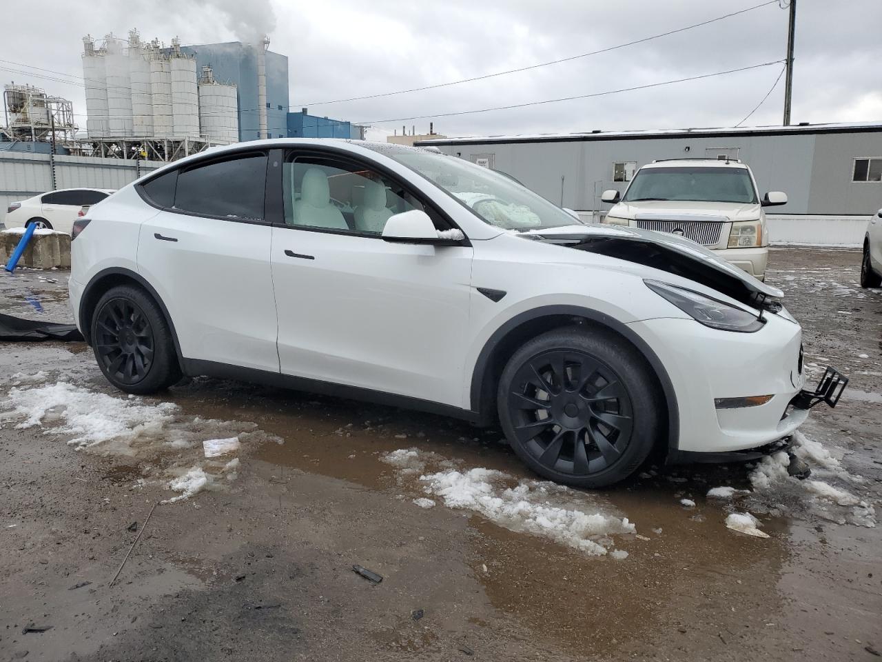 2023 TESLA MODEL Y  VIN:7SAYGAEE1PF660166