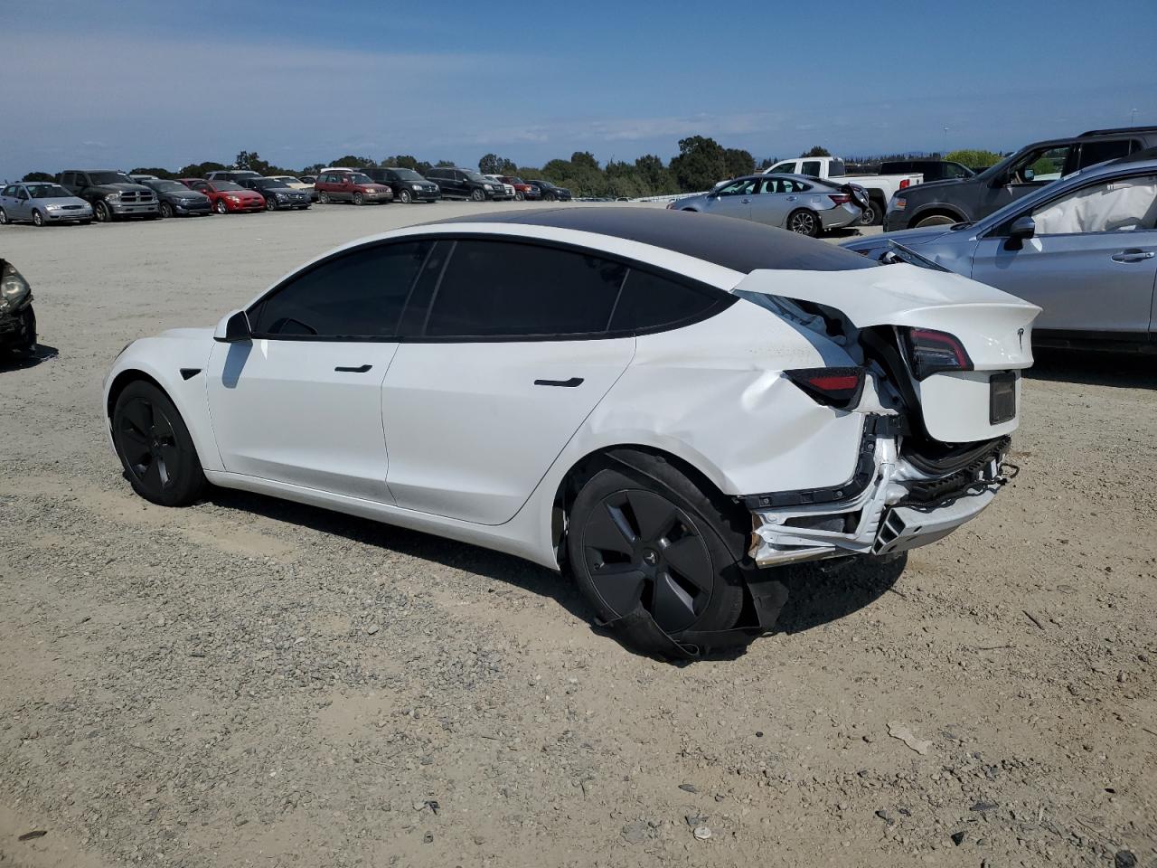 2023 TESLA MODEL 3  VIN:5YJ3E1EBXPF714843