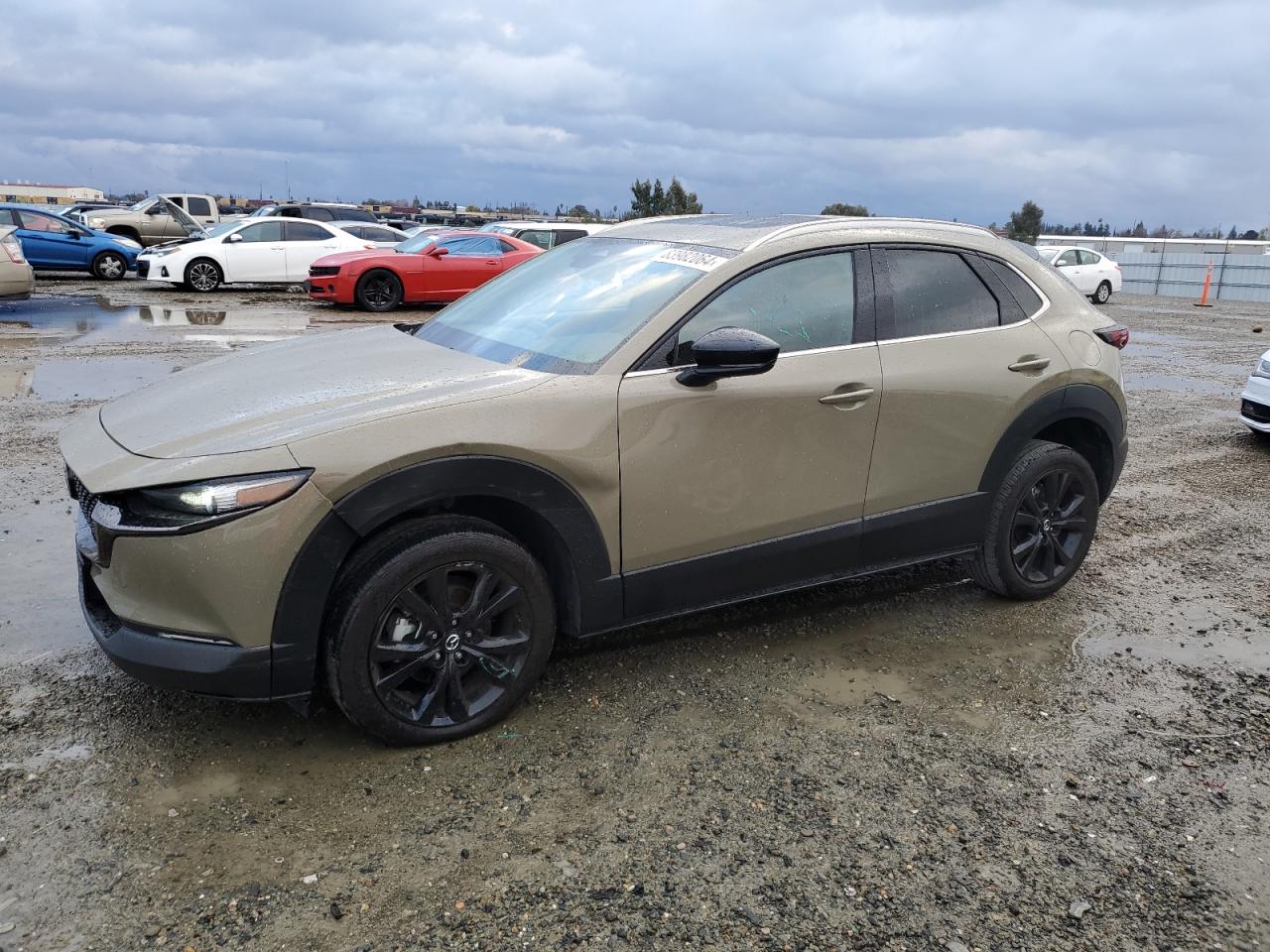 2024 MAZDA CX-30 CARBON TURBO VIN:3MVDMBXY3RM606382