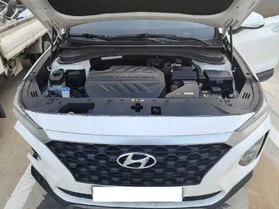 2019 Hyundai Santa FE KMHS281CBKU107302 VIN:KMHS281CBKU107302