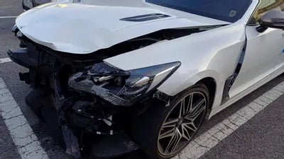 2021 Kia Stinger KNAE351DBMS101749 VIN:KNAE351DBMS101749