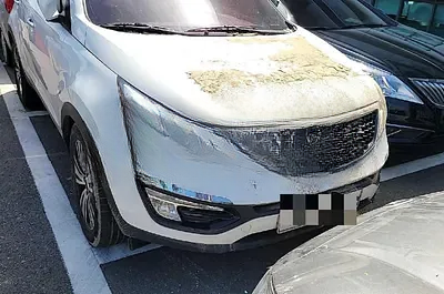 2014 Kia Sportage NONE VIN:
