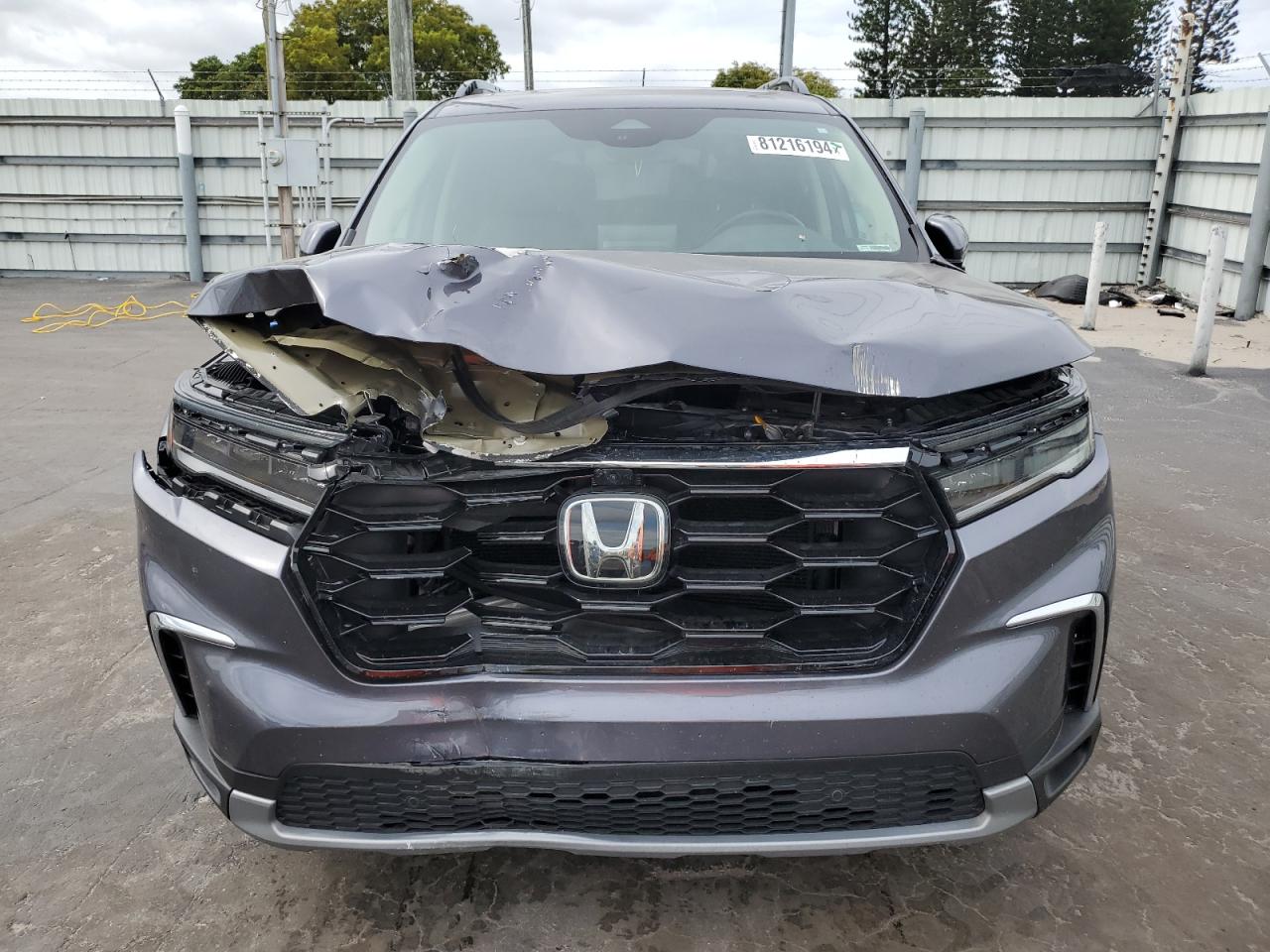 2024 HONDA PILOT ELITE VIN:5FNYG1H87RB005922