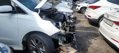2019 Kia Carnival KNAME81ABKS503293 VIN:KNAME81ABKS503293