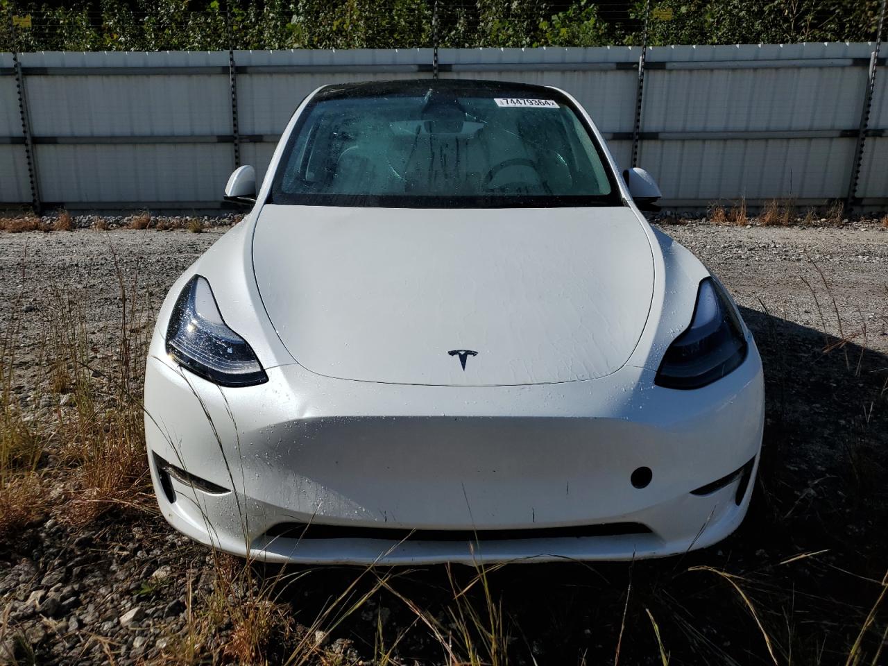 2024 TESLA MODEL Y  VIN:7SAYGDEE7RF993704