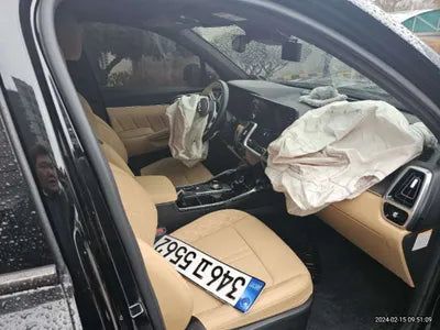 2022 Kia Sorento KNARL81GDNA106880 VIN:KNARL81GDNA106880