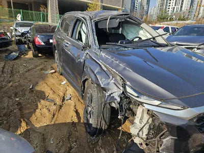 2019 Hyundai Santa FE KMHS281BBKU176211 VIN:KMHS281BBKU176211