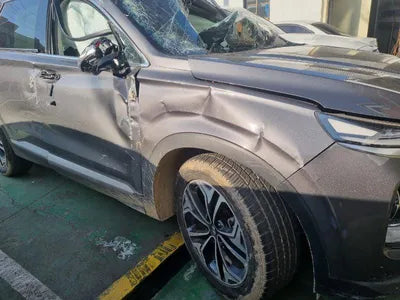 2019 Hyundai Santa FE KMHS381ABLU247383 VIN:KMHS381ABLU247383