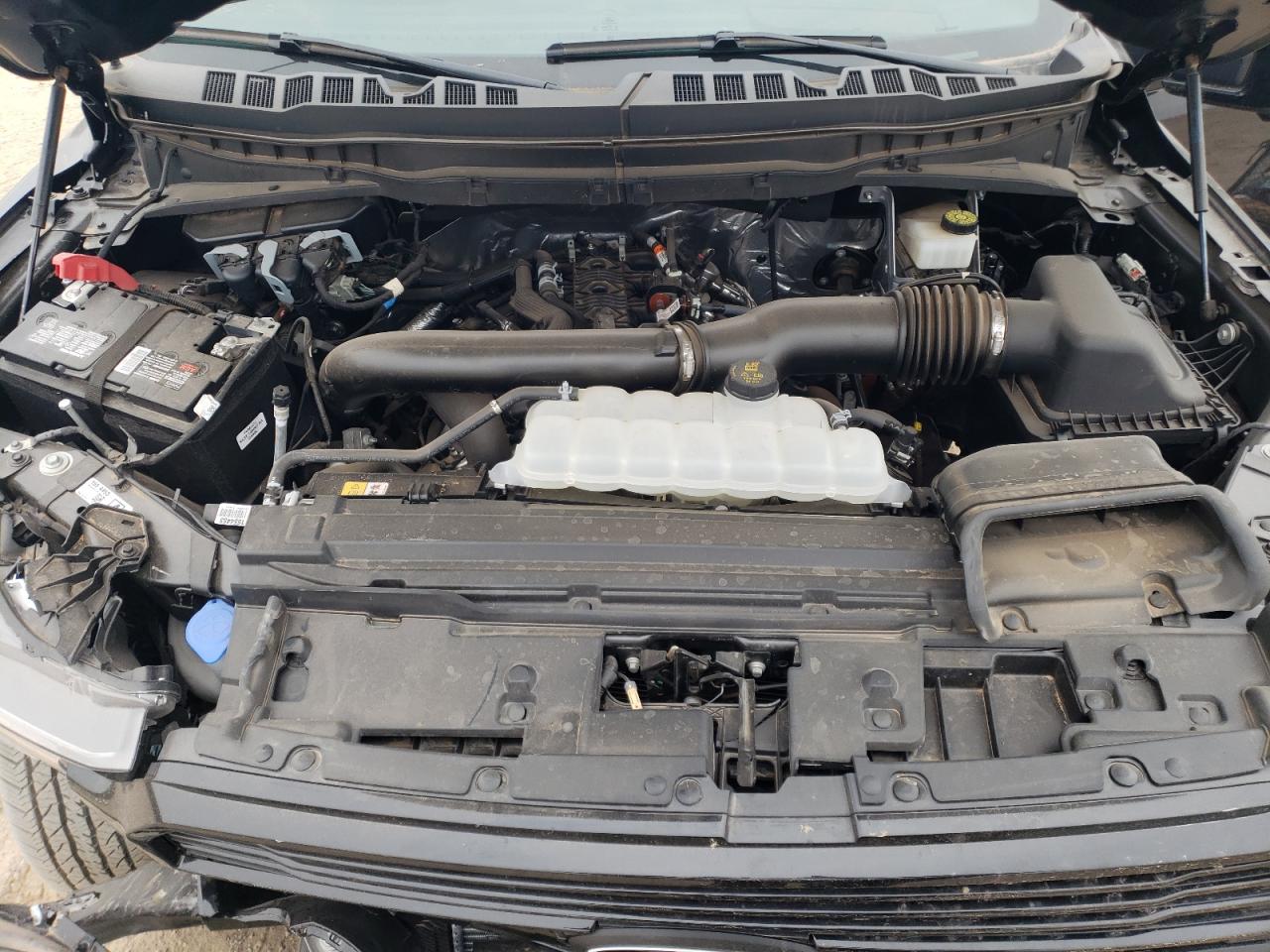 2024 FORD F150 PLATINUM VIN:1FTFW7L81RFB07572
