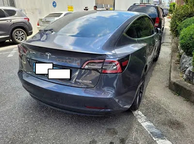 2020 Tesla Model 3 5YJ3E1EC9LF756312 VIN:5YJ3E1EC9LF756312