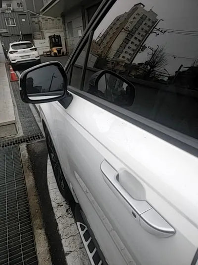 2021 Kia Carnival KNANE81BBMS067503 VIN:KNANE81BBMS067503