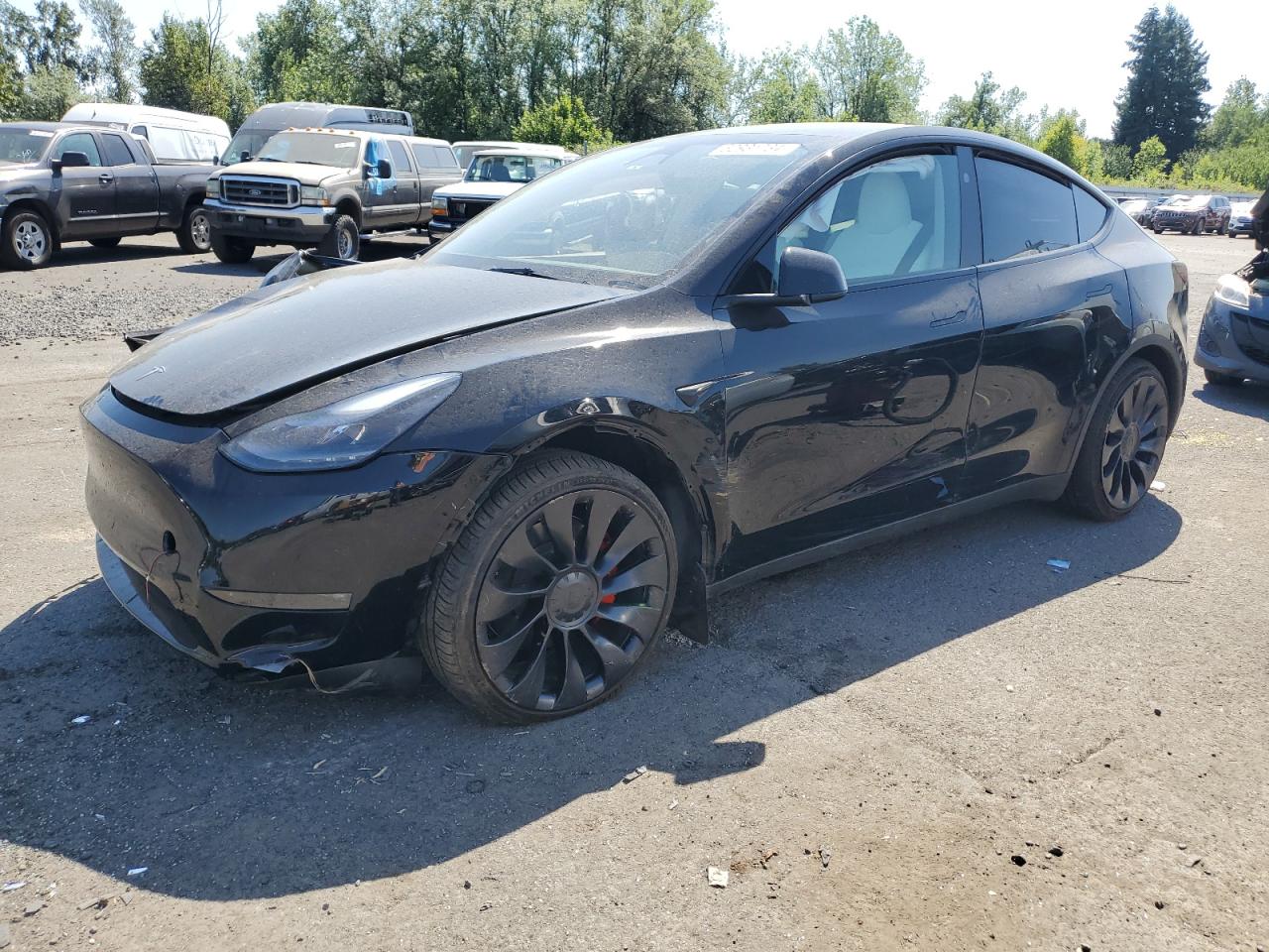 2023 TESLA MODEL Y  VIN:7SAYGDEF2PF814121