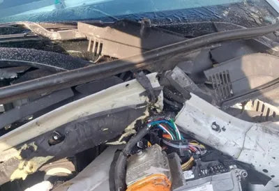 2021 Hyundai Kona VIN: