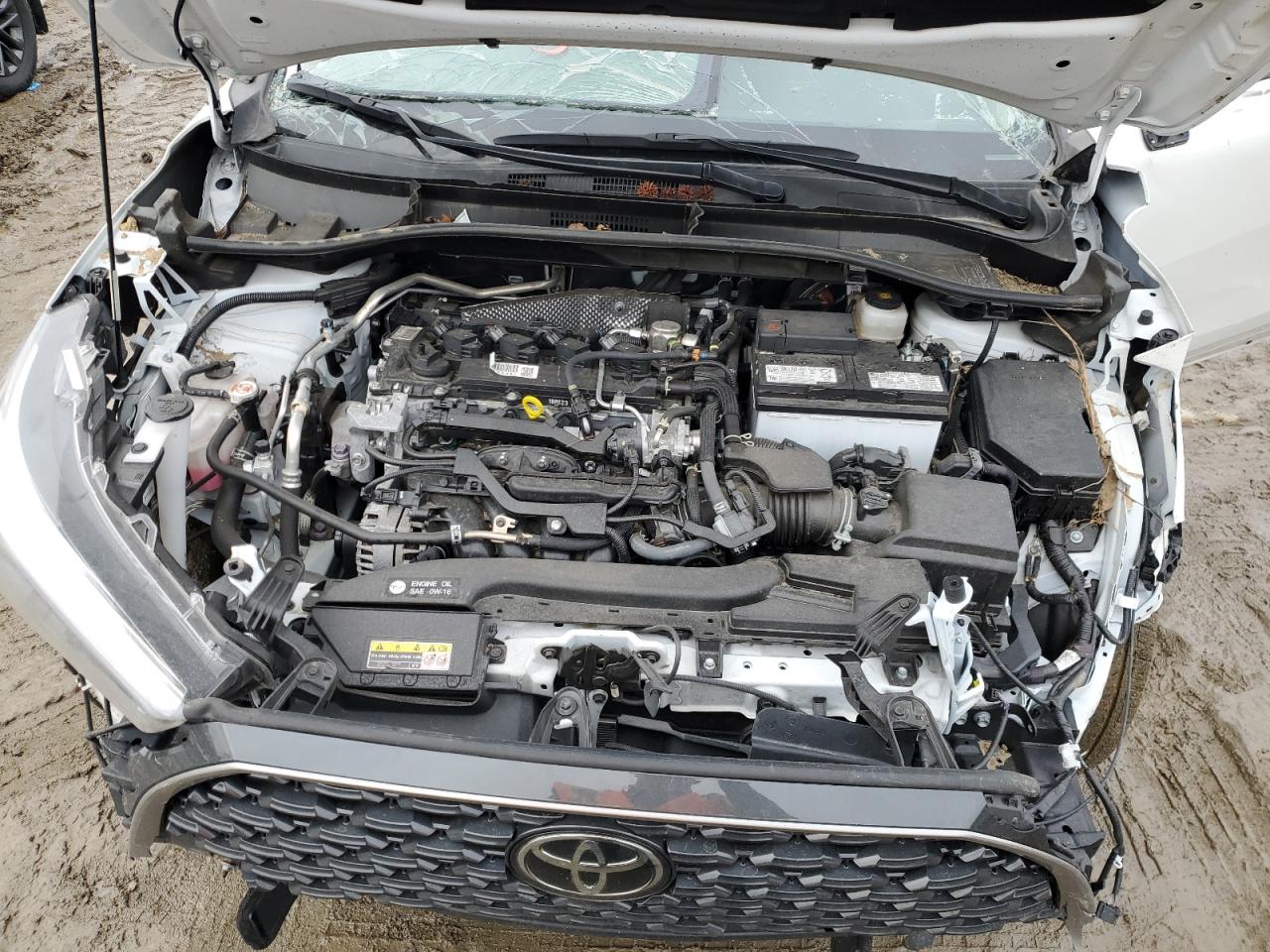 2023 TOYOTA COROLLA CROSS XLE VIN:7MUEAAAG5PV050717