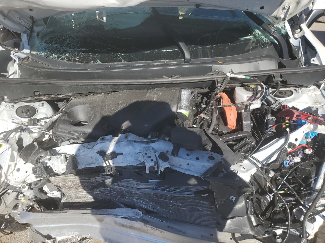 2024 TOYOTA RAV4 XLE VIN:2T3RWRFV2RW205535