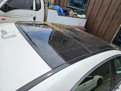 2019 Mercedes-Benz S 450 VIN: