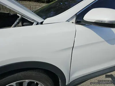 2017 Hyundai Santa FE 351KMKMHSW81UBHU7 VIN:351KMKMHSW81UBHU7