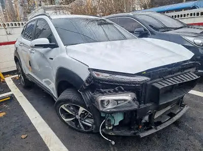 2019 Hyundai Kona KMHK7815GKU410623 VIN:KMHK7815GKU410623