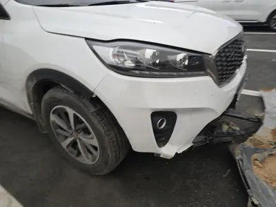 2019 Kia Sorento KNAPG81BDKA540068 VIN:KNAPG81BDKA540068