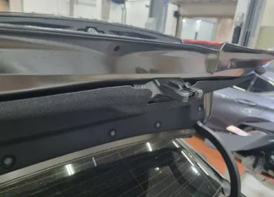 2019 Toyota Camry JTNB21HKXK3019523 VIN:JTNB21HKXK3019523