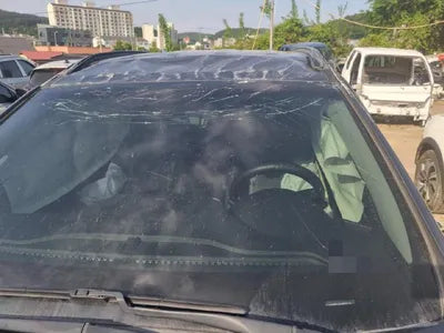 2017 Hyundai Santa FE KMHSW81UBJU831174 VIN:KMHSW81UBJU831174