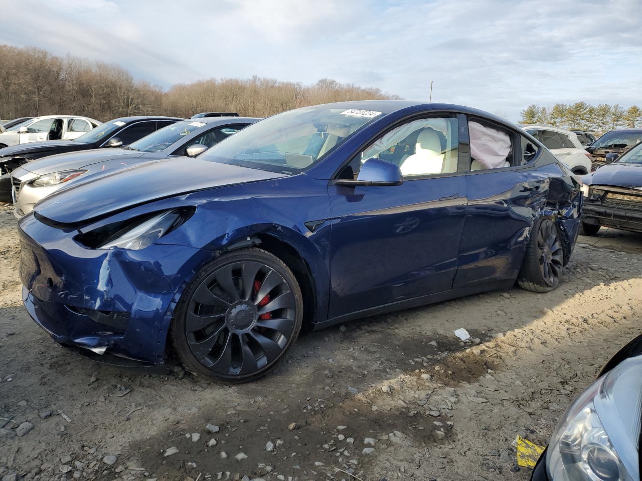 2024 TESLA MODEL Y  VIN:7SAYGDEF4RF026492