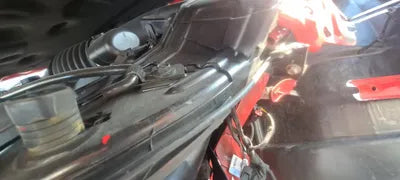 2020 Ford Mustang 1FATP8UH5L5161139 VIN:1FATP8UH5L5161139