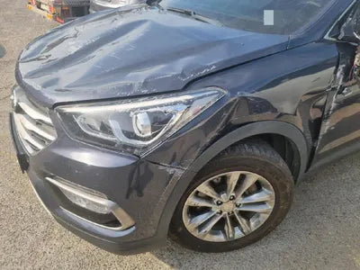 2017 Hyundai Santa FE KMHSW81UBJU831174 VIN:KMHSW81UBJU831174