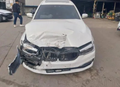 2020 BMW 520 WBAJF3109LWW54738 VIN:WBAJF3109LWW54738