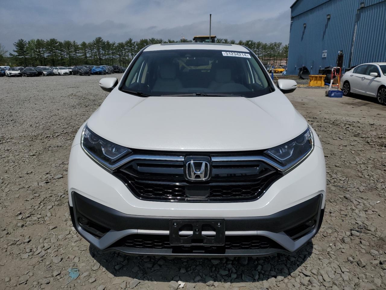 2022 HONDA CR-V EXL VIN:2HKRW2H88NH664651
