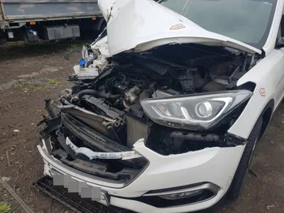 2017 Hyundai Santa FE KMHSW81UDJU818201 VIN:KMHSW81UDJU818201