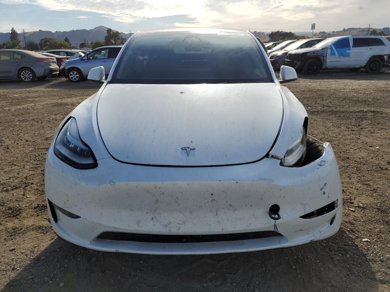 2023 TESLA MODEL Y  VIN:7SAYGDEE6PF583151