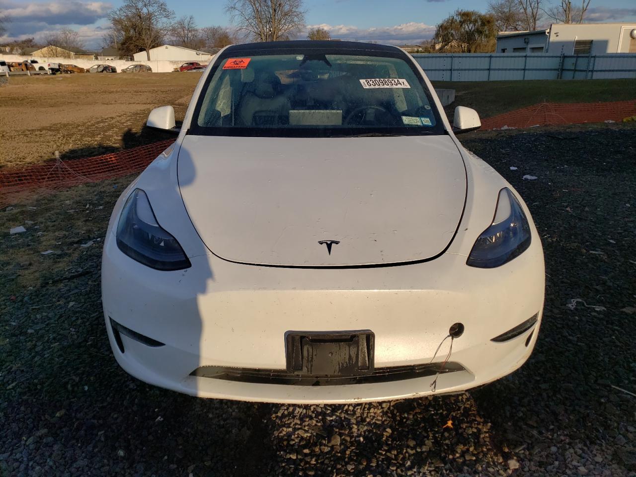 2023 TESLA MODEL Y  VIN:7SAYGDEE5PF823323