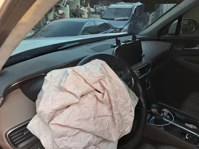 2020 Hyundai Santa FE KMHS381BBLU254272 VIN:KMHS381BBLU254272