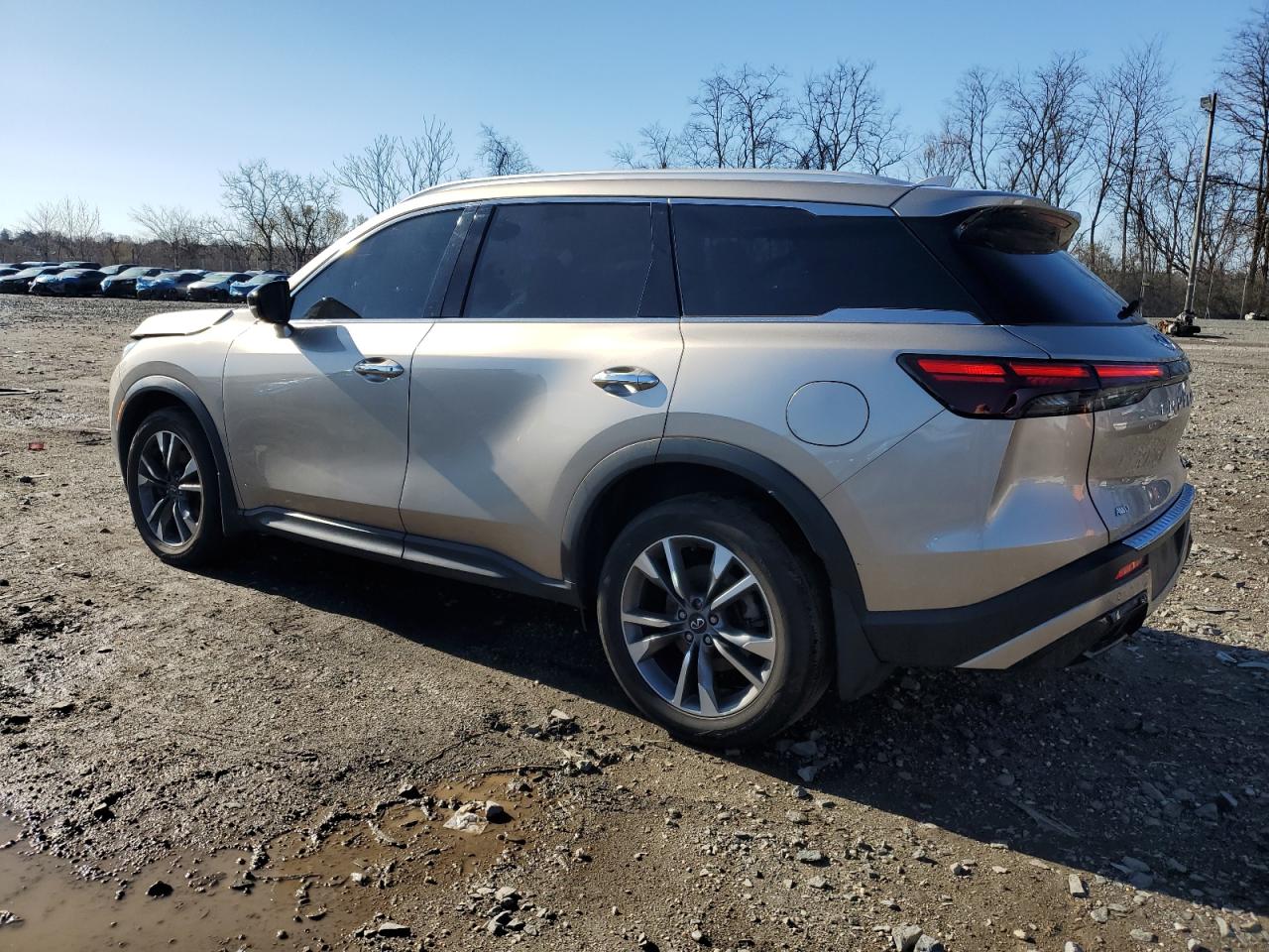 2023 INFINITI QX60 LUXE VIN:5N1DL1FSXPC367774