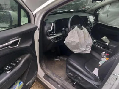 2022 Kia Sportage KNAPW81CBNK008169 VIN:KNAPW81CBNK008169