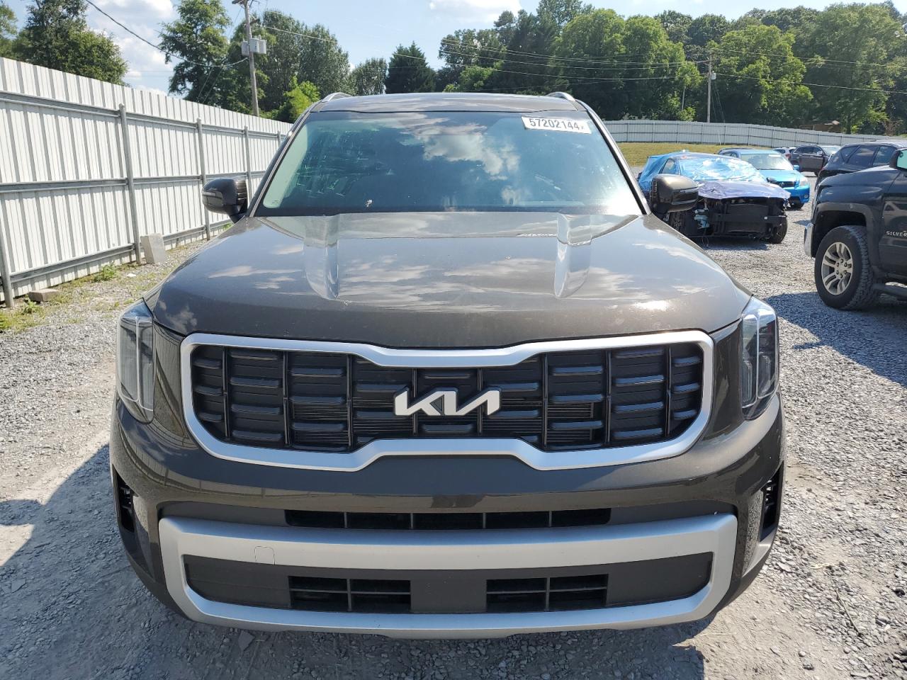 2024 KIA TELLURIDE S VIN:5XYP64GC9RG505403